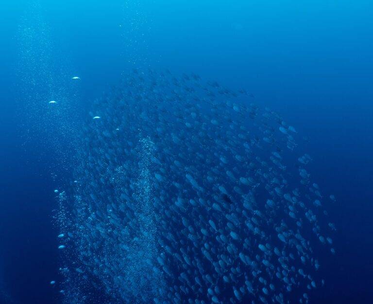 0C6E3CA0 D9A8 4245 AD01 DFE6DC866A8B