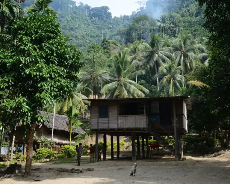 Sepik River Tours