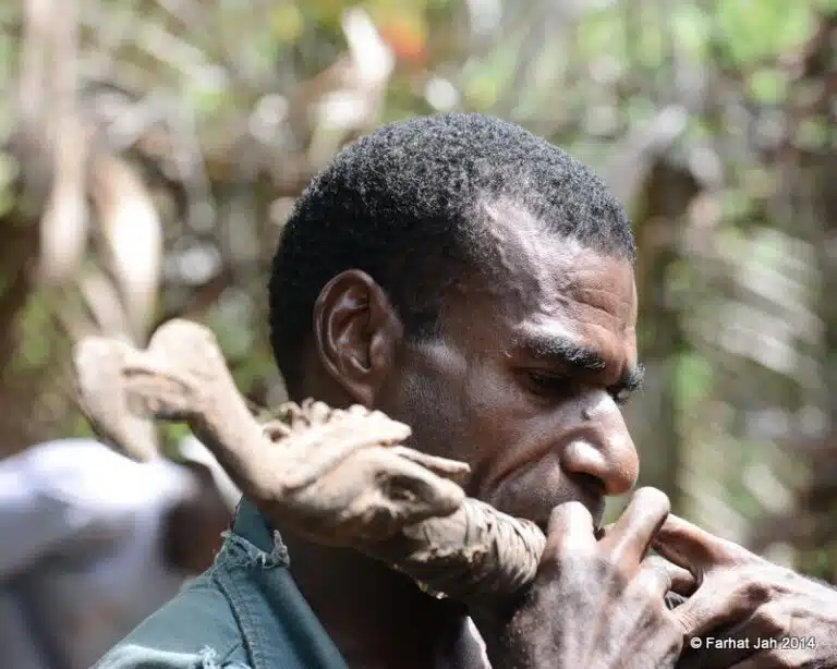 Sepik River Tours