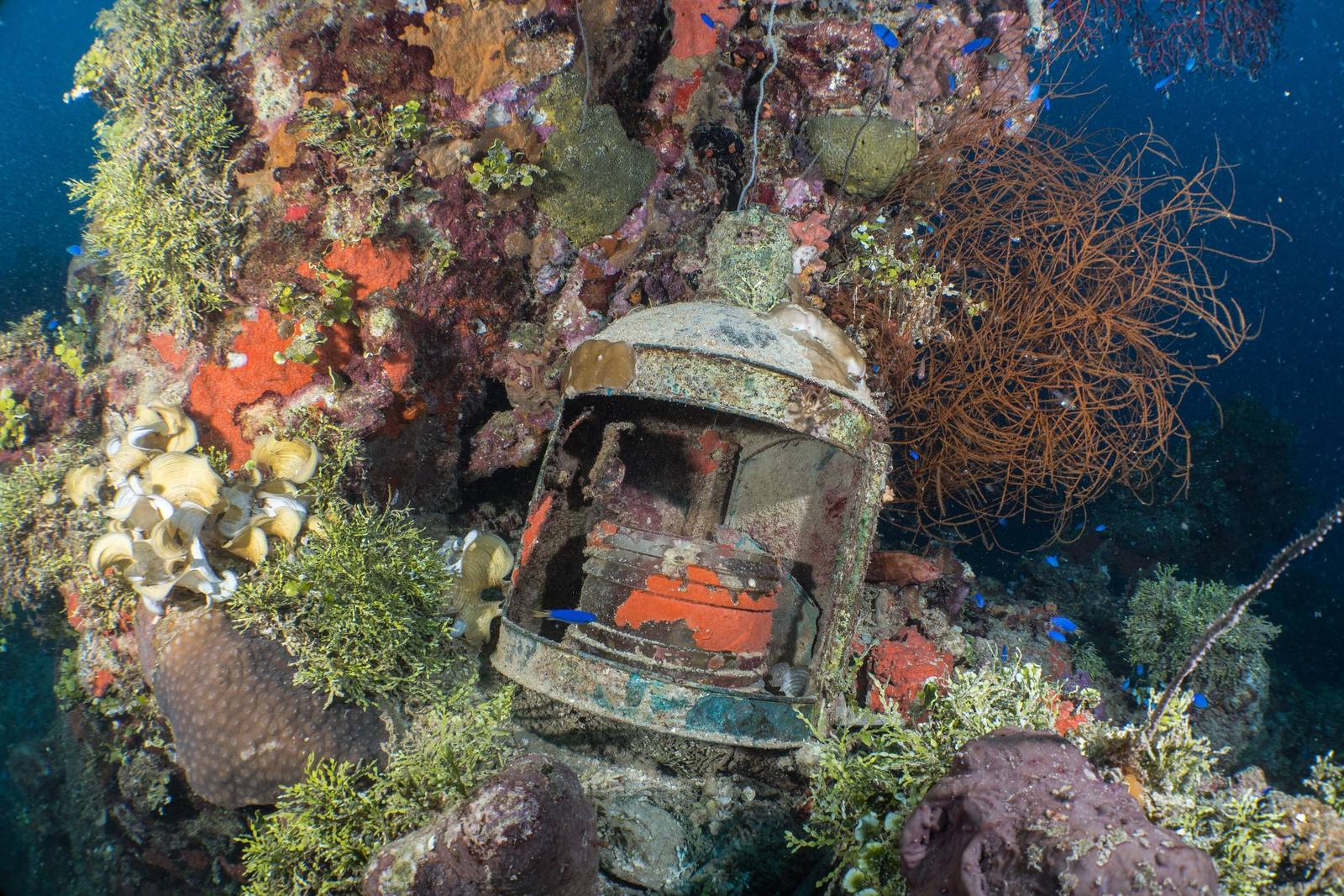 The MV Odyssey Truk Lagoon Diving