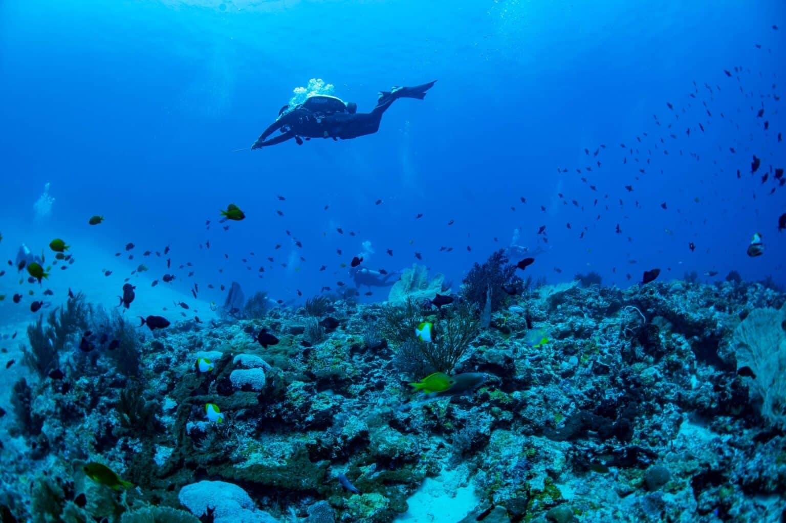 Easy Waves with Scuba Diving in Bali