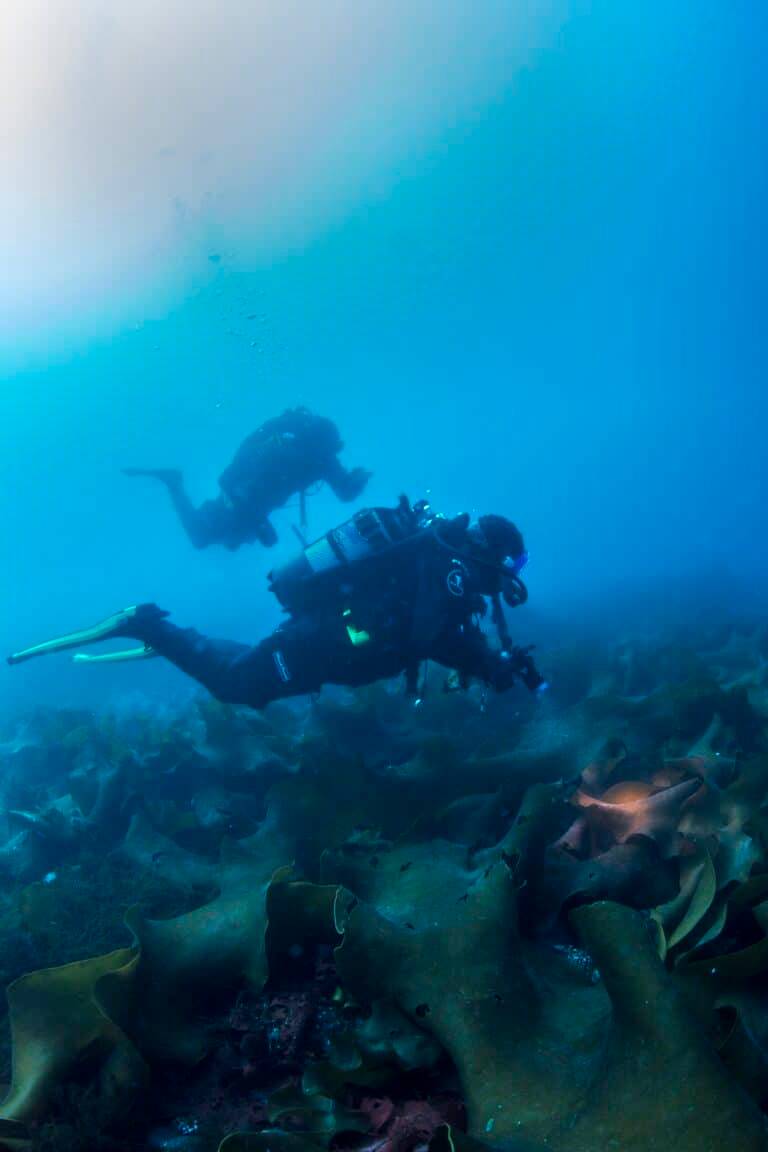 Antarctic Ice Diving photos03