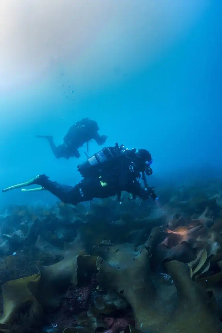 Antarctic Ice Diving photos03