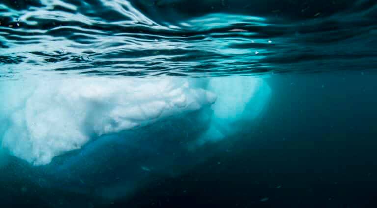 Antarctic Ice Diving photos07