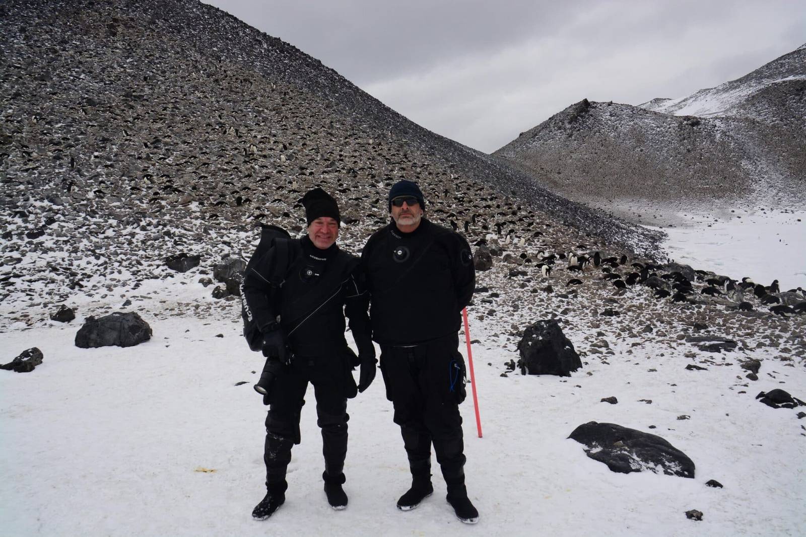 On our Antarctica Dive Expeditions, All are welcome. Divers and Non Divers