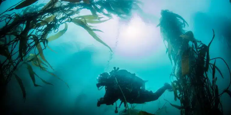 Antarctic Ice Diving photos12