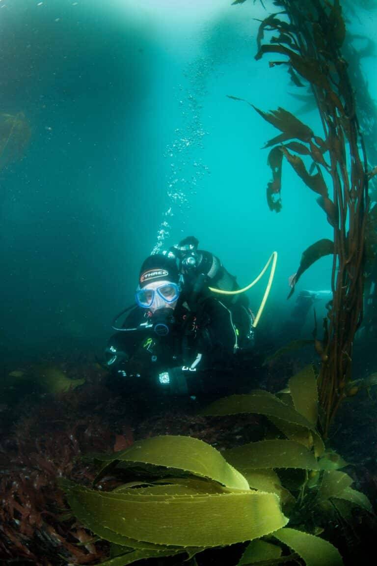 Antarctic Ice Diving photos14