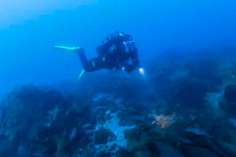 Antarctic Ice Diving4
