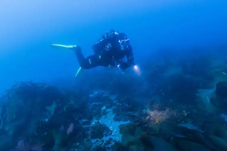 Antarctic Ice Diving4