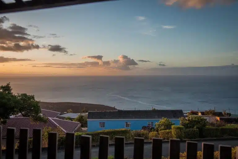 B9F36A3D 1211 4509 AF3C 526BF29C3438