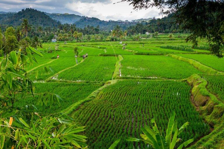 Bali Diving images02