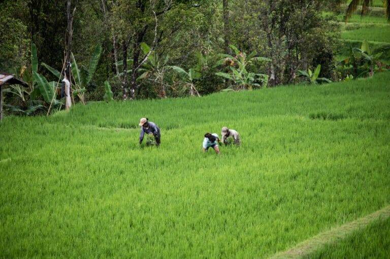 Bali Diving images03