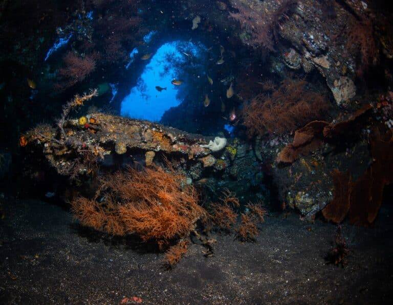 Bali Diving images06