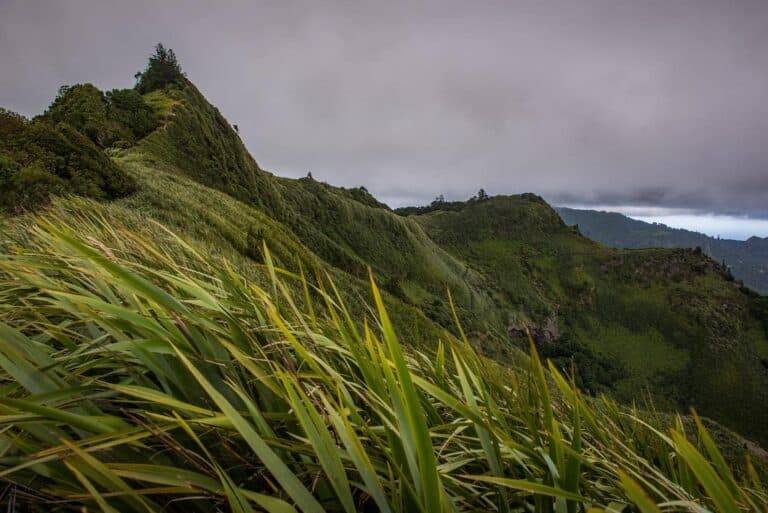 CE16BD02 F4BC 442C 8A7D 64D4912A8530