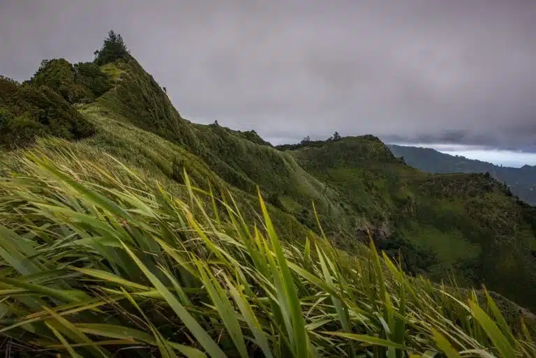 CE16BD02 F4BC 442C 8A7D 64D4912A8530