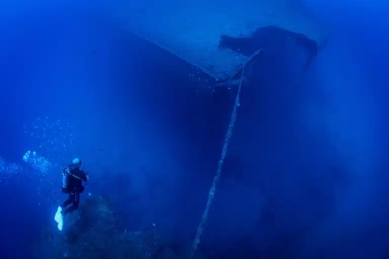 CF0D2ED2 5E37 426C 8B27 13A8E7F783BB