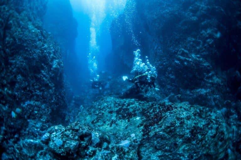 D0BB9291 6F08 44F7 80DE BCCFF27F09AA