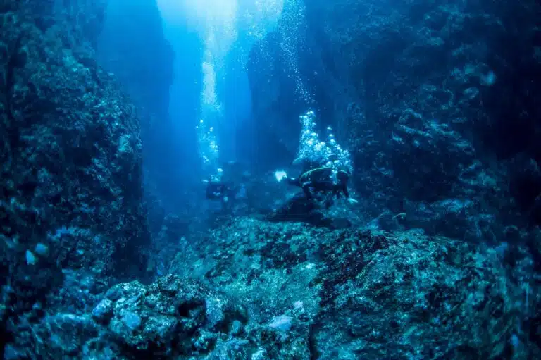 D0BB9291 6F08 44F7 80DE BCCFF27F09AA