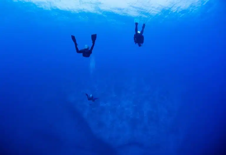 Liveaboard Diving