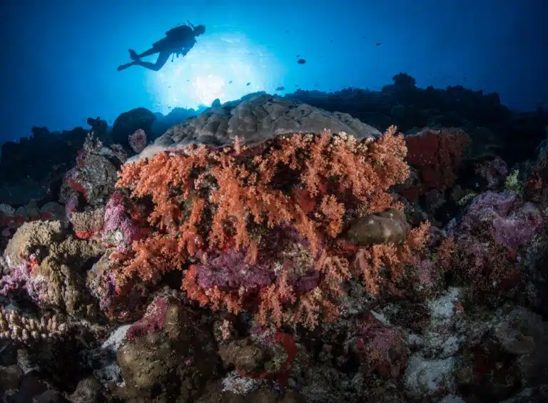 Addu Atoll