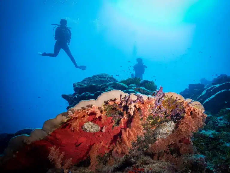 Fuvamulahdiving60
