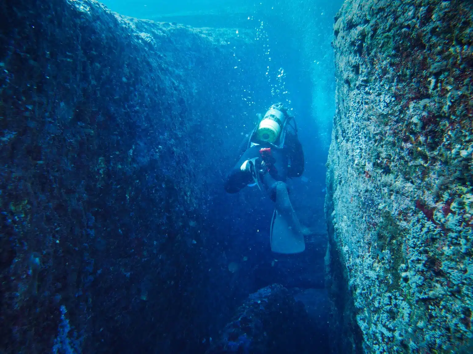 Japanese Diving Highlights1 1