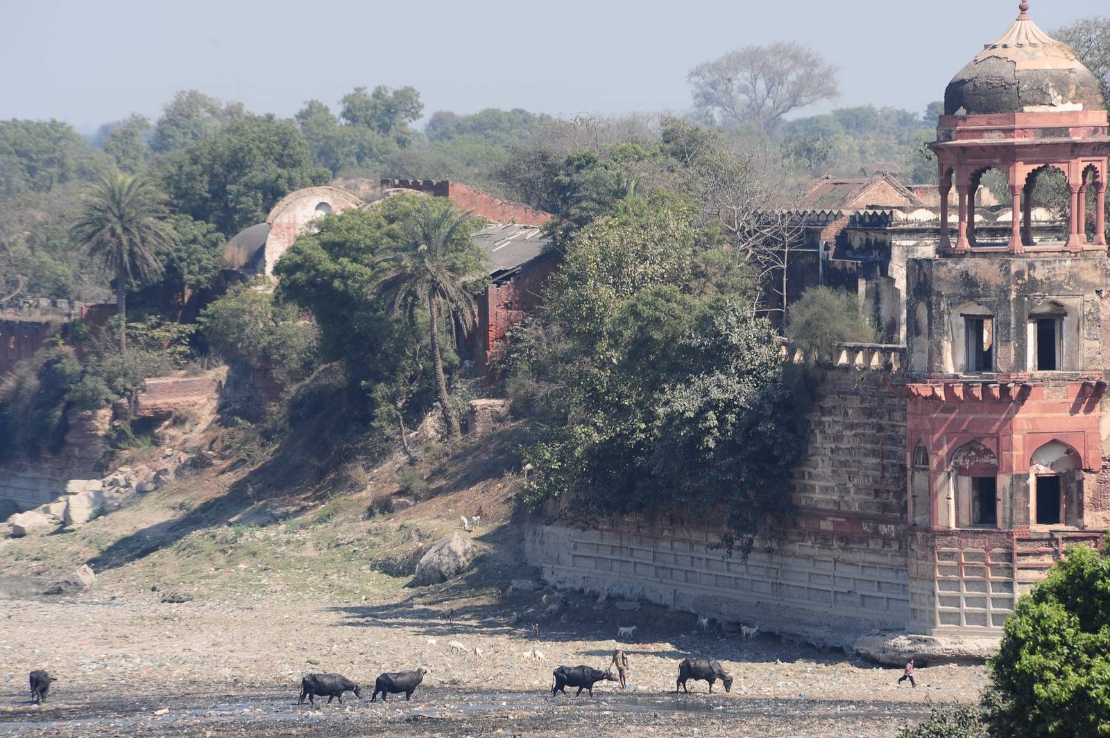 North India Cultural & historic tours