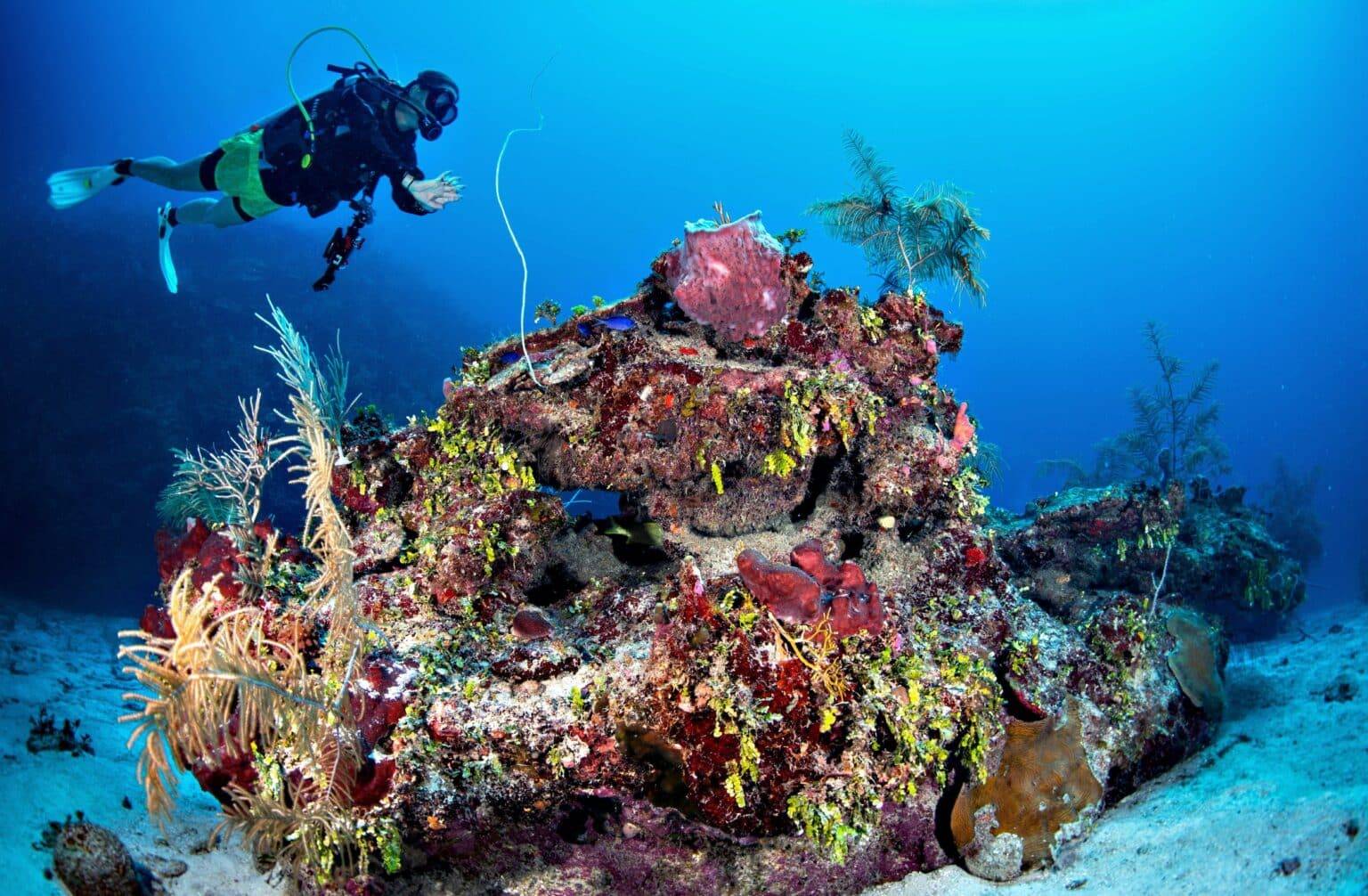 Mexico Scuba Diving Tours1