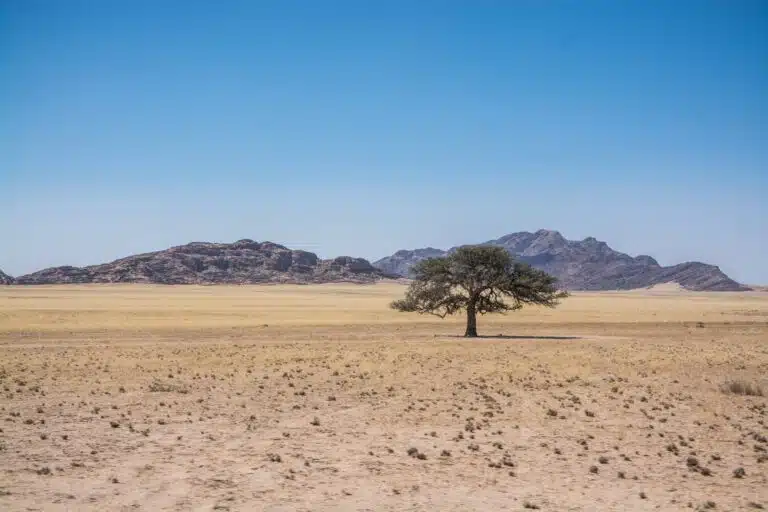 Namibia Safari Tour04