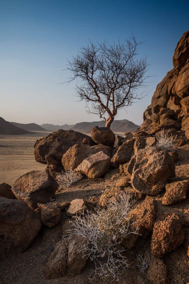 Namibia Safari Tour08