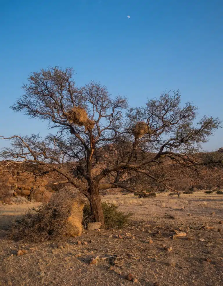 Namibia Safari Tour09