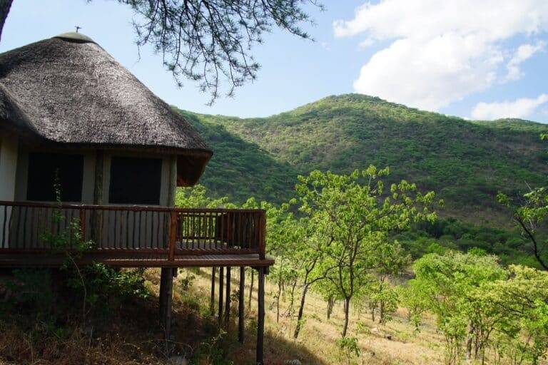 Ruaha National Park images06