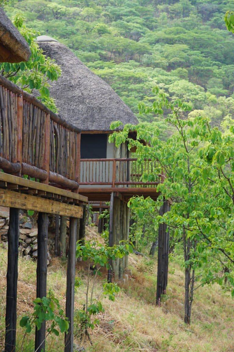 Ruaha National Park images07