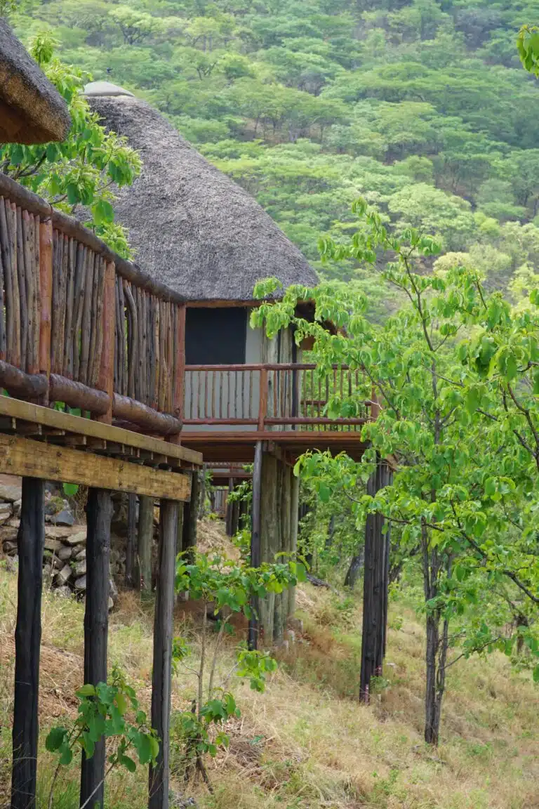 Ruaha National Park images07