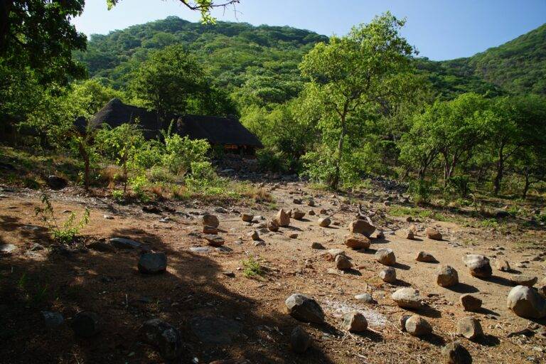 Ruaha National Park images11