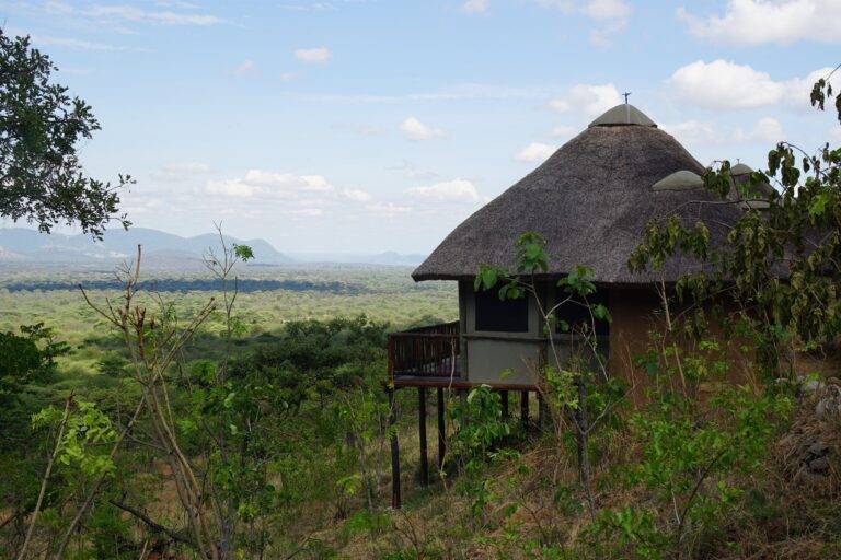Ruaha National Park images12