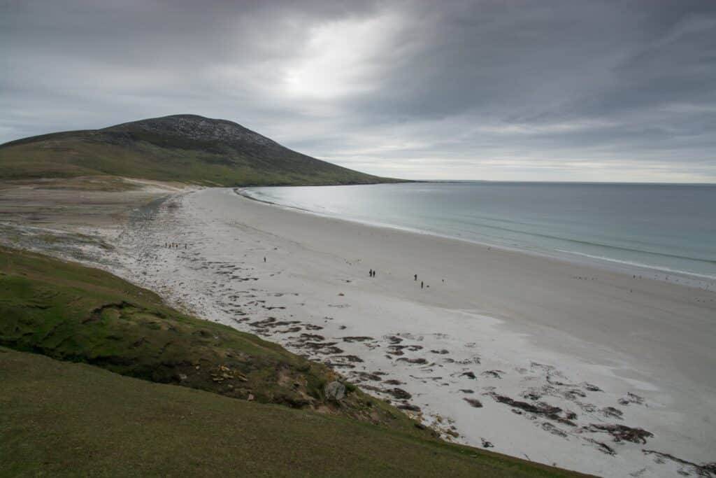 South Georgia & Falkland Islands