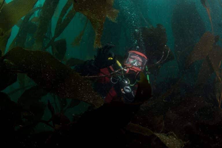 South Georgia & Falkland Islands