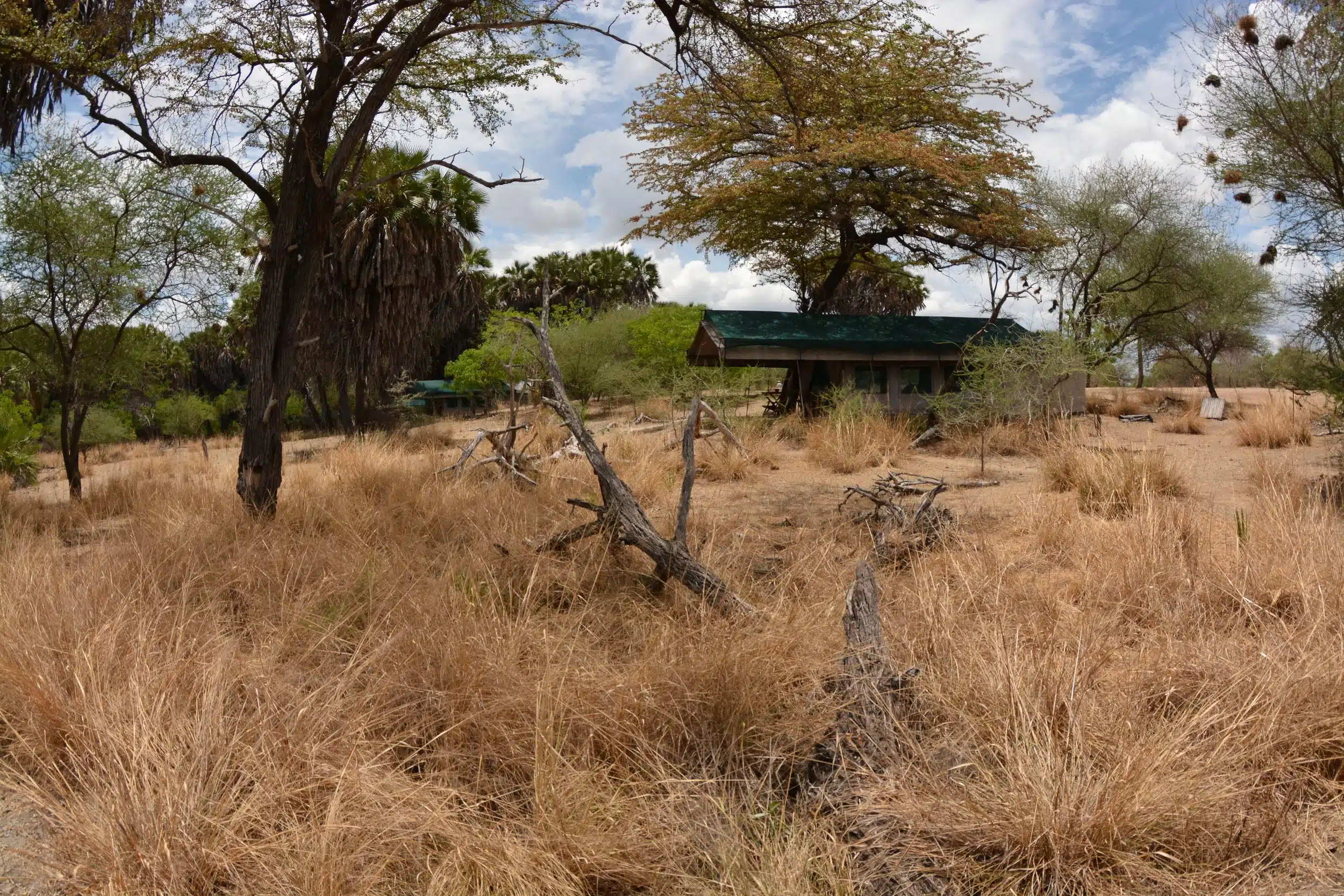 Selous National Park Safaris 03