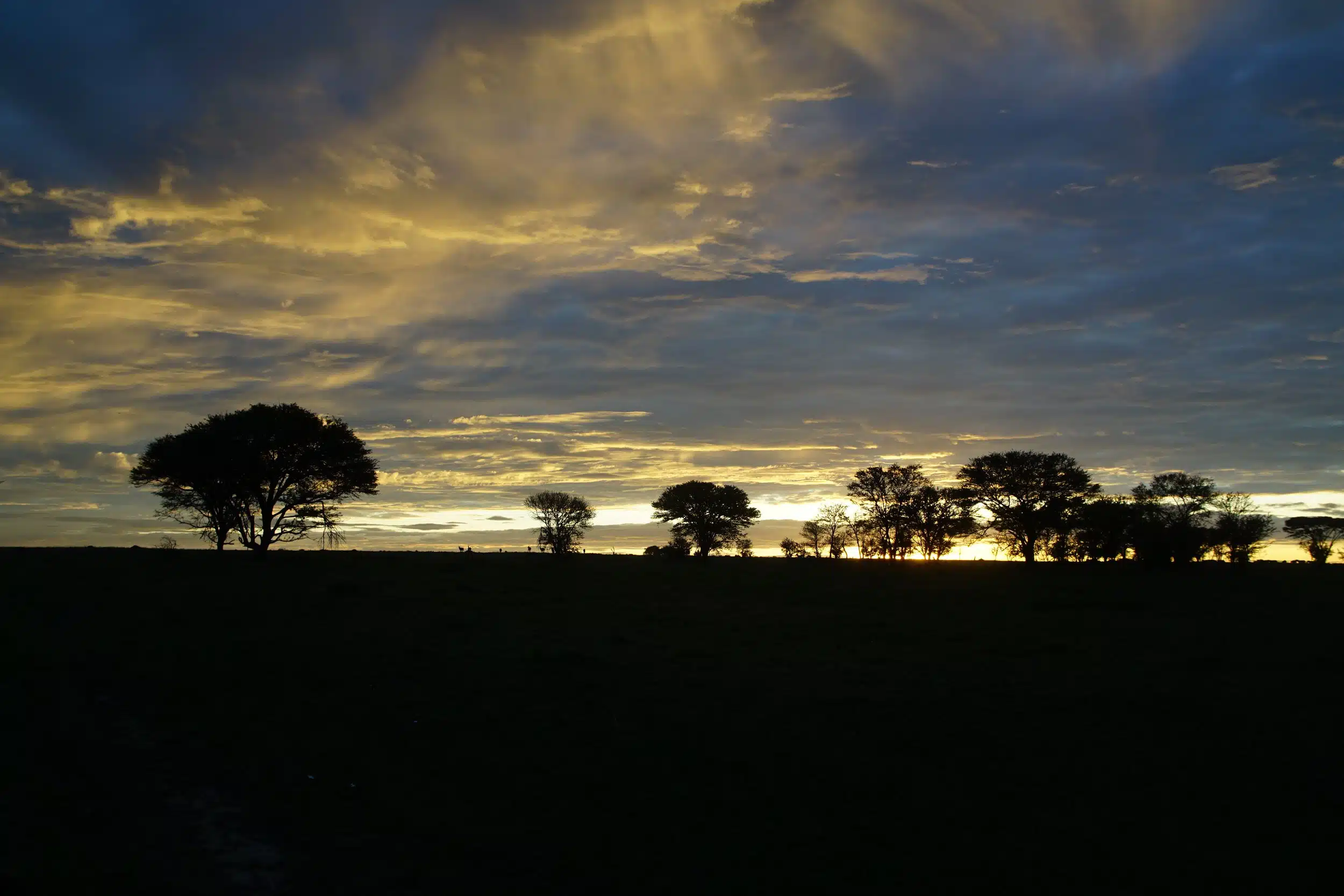 Serengeti National Park Safaris10