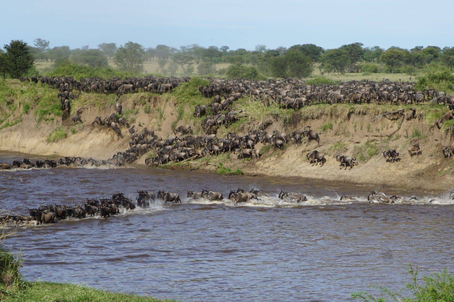 Serengeti National most famous safari destination1