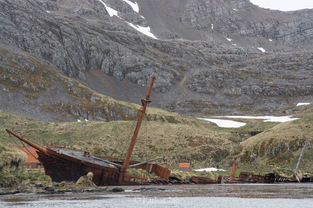South Georgia & Falkland Islands