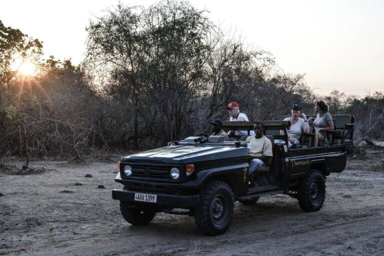 South Luangwa National Park01