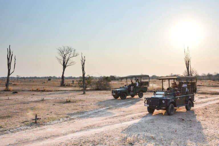 South Luangwa National Park09