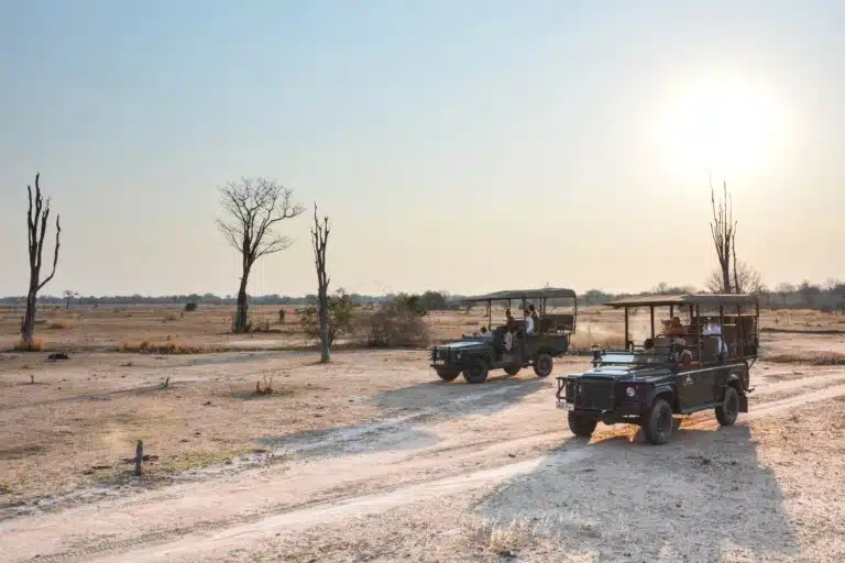 South Luangwa National Park09