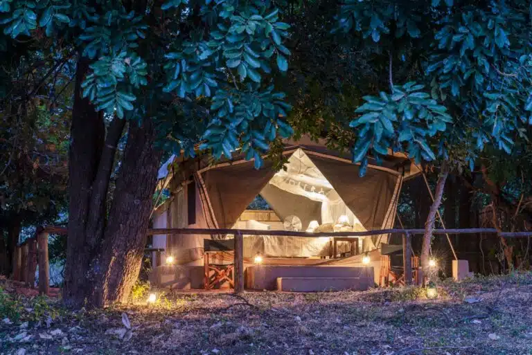 South Luangwa National Park10
