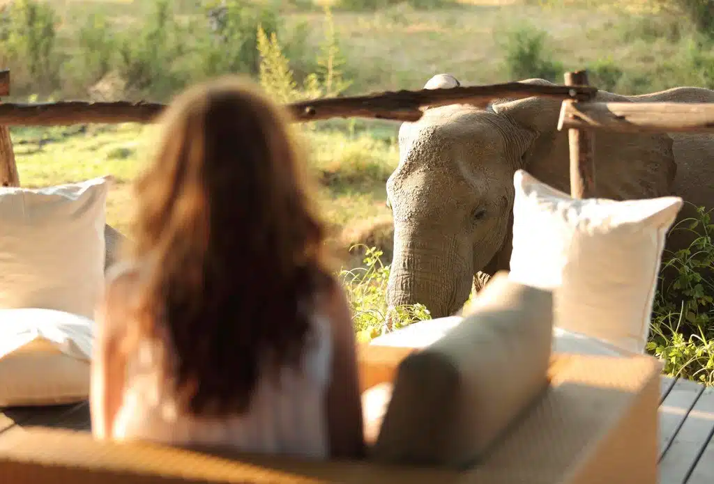 South Luangwa1