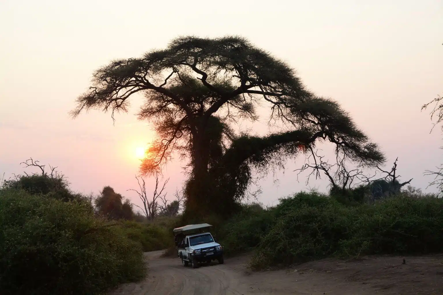 The Chobe Explorer Tour1