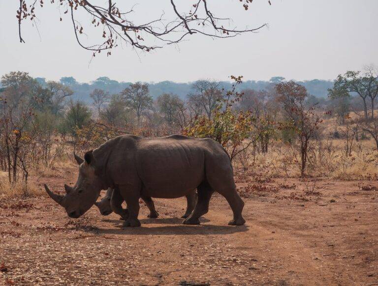 Victoria Falls Tour01
