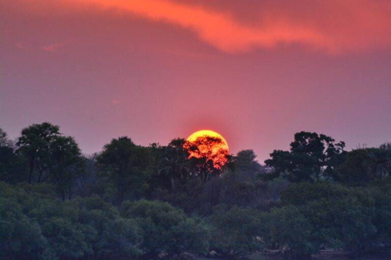 Victoria Falls Tour06